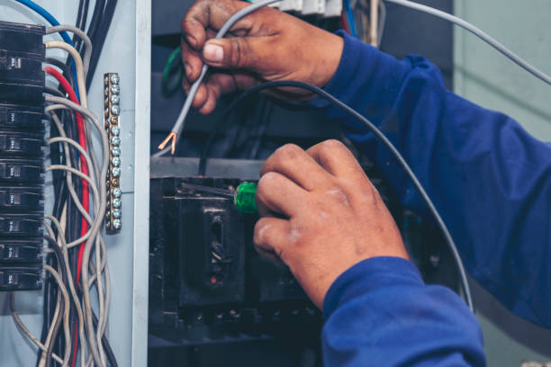 Best Licensed Electrician  in Collegedale, TN